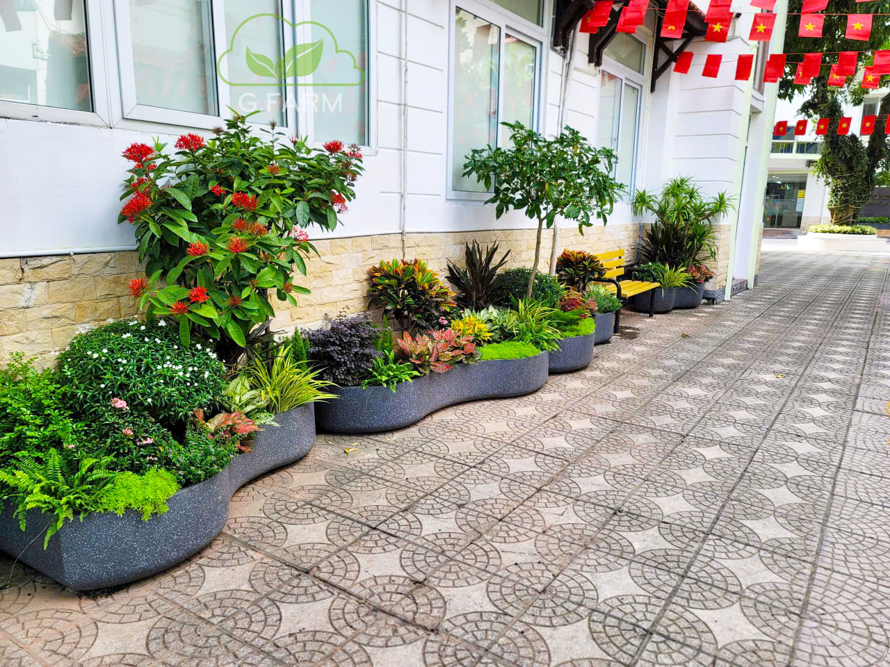 Thiết kế tiểu cảnh khuôn viên trường học